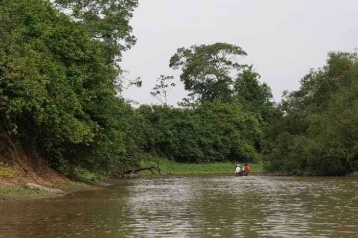 The Bolivian Amazon: The Jungle vs The Pampas