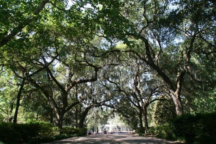 12 Things We Love About Savannah