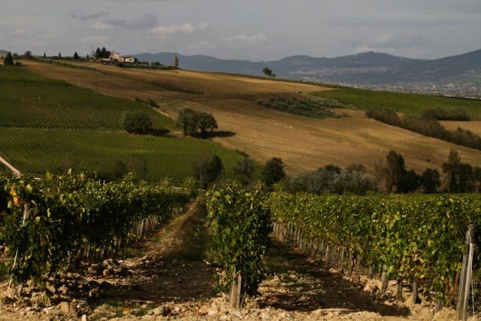 Gusto Wine Tour Review: Family-Run Wineries in Umbria