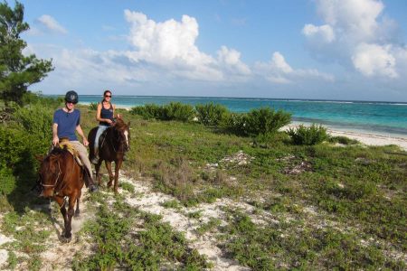 Horse Riding by the Caribbean in Playa del Carmen