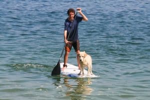 Photo of the Week: Stand Up Paddle Boarding with a Dog