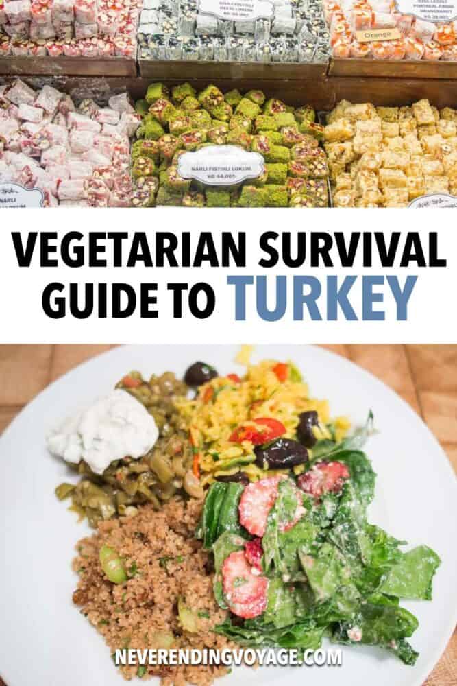 Vegetarian Turkey Guide Pinterest pin