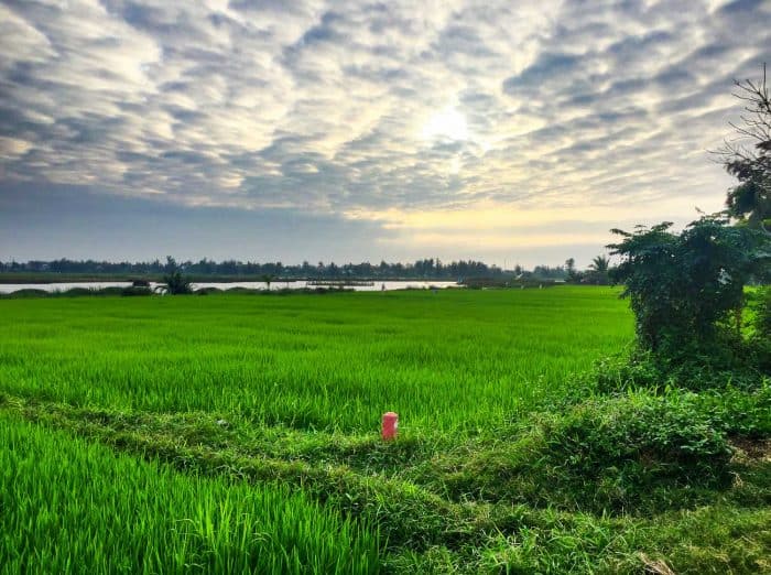 A Digital Nomad’s Guide to Living in Hoi An, Vietnam