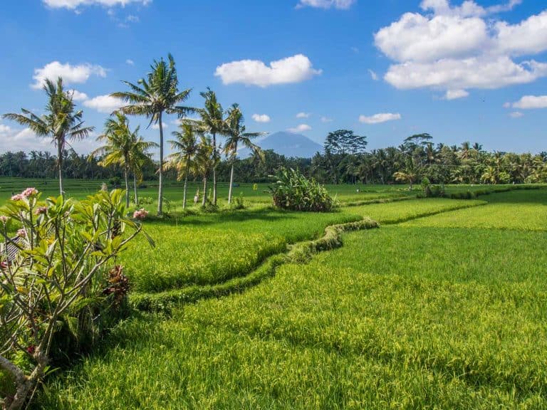 How to Get an Indonesia Visa Extension in Bali and Stay up to Six Months