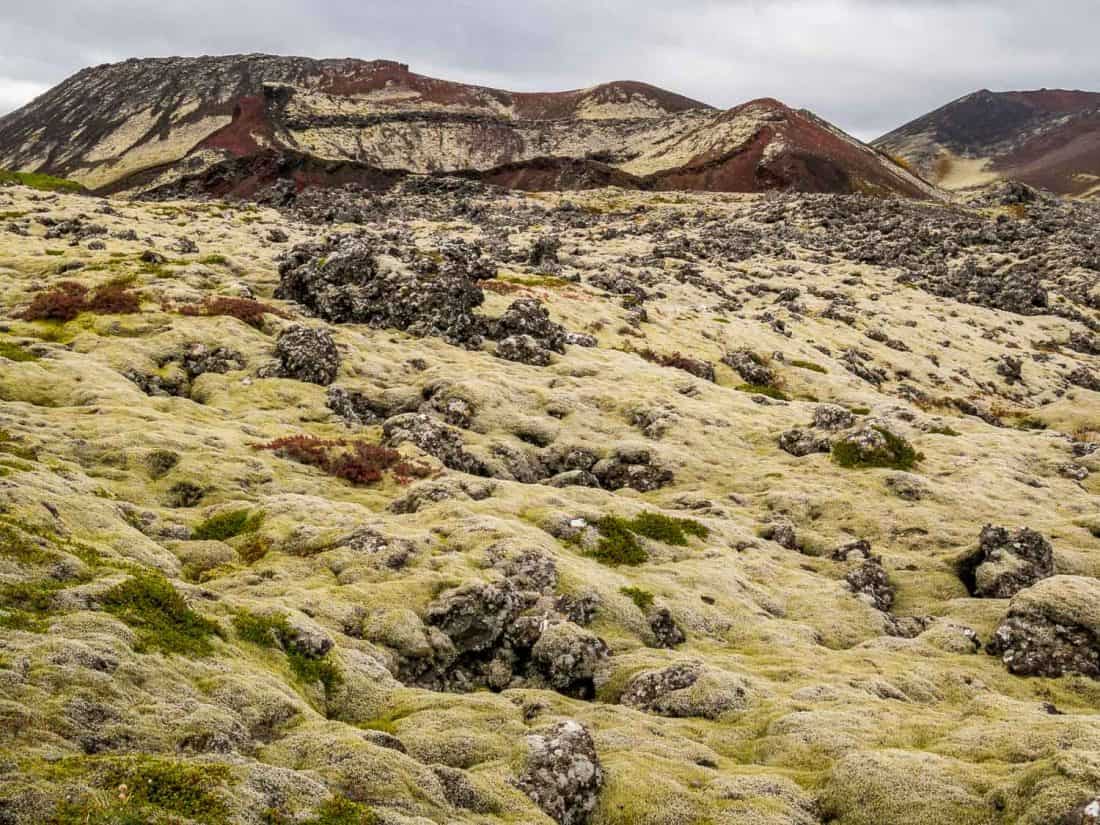 Berserkjahraun lava field on the Snaefellsness Peninsula, Iceland