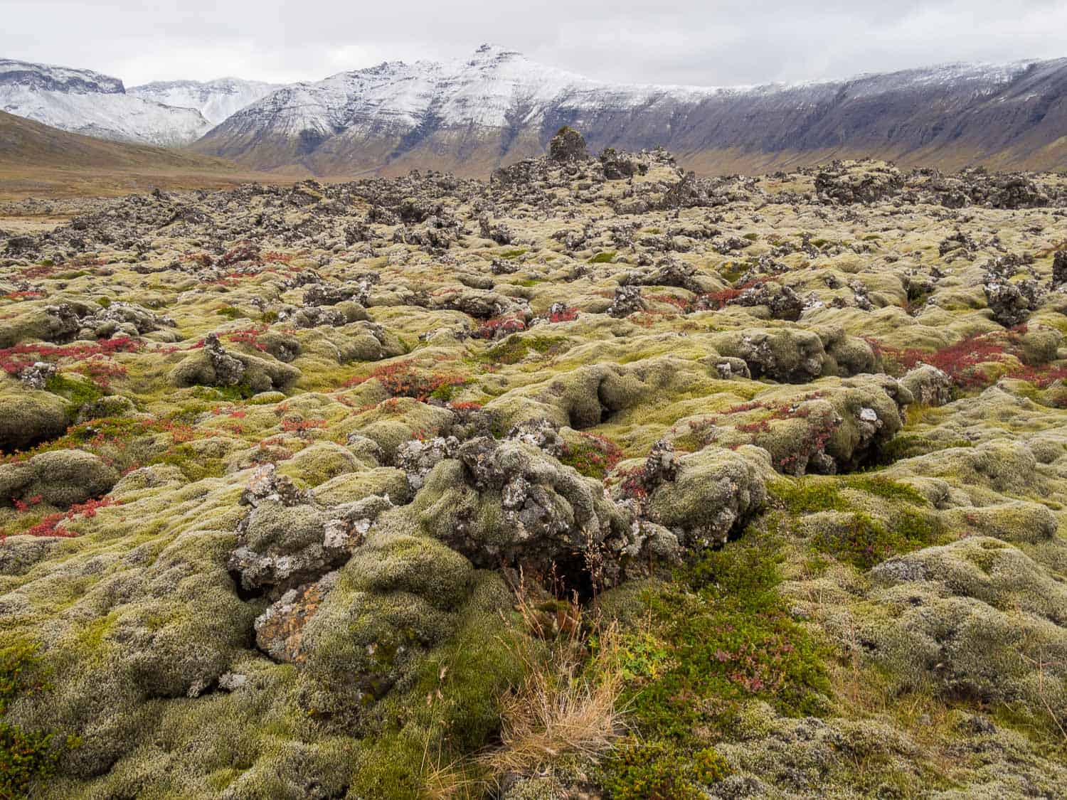 Visiting Iceland in September: What to Expect and Things to Do