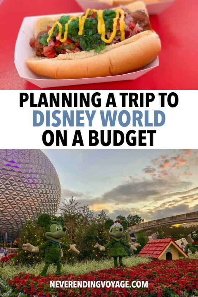 Disney World on a Budget Guide Pinterest pin