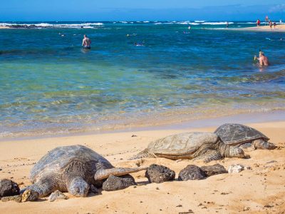 20 Unmissable Things to Do in Kauai (2023)