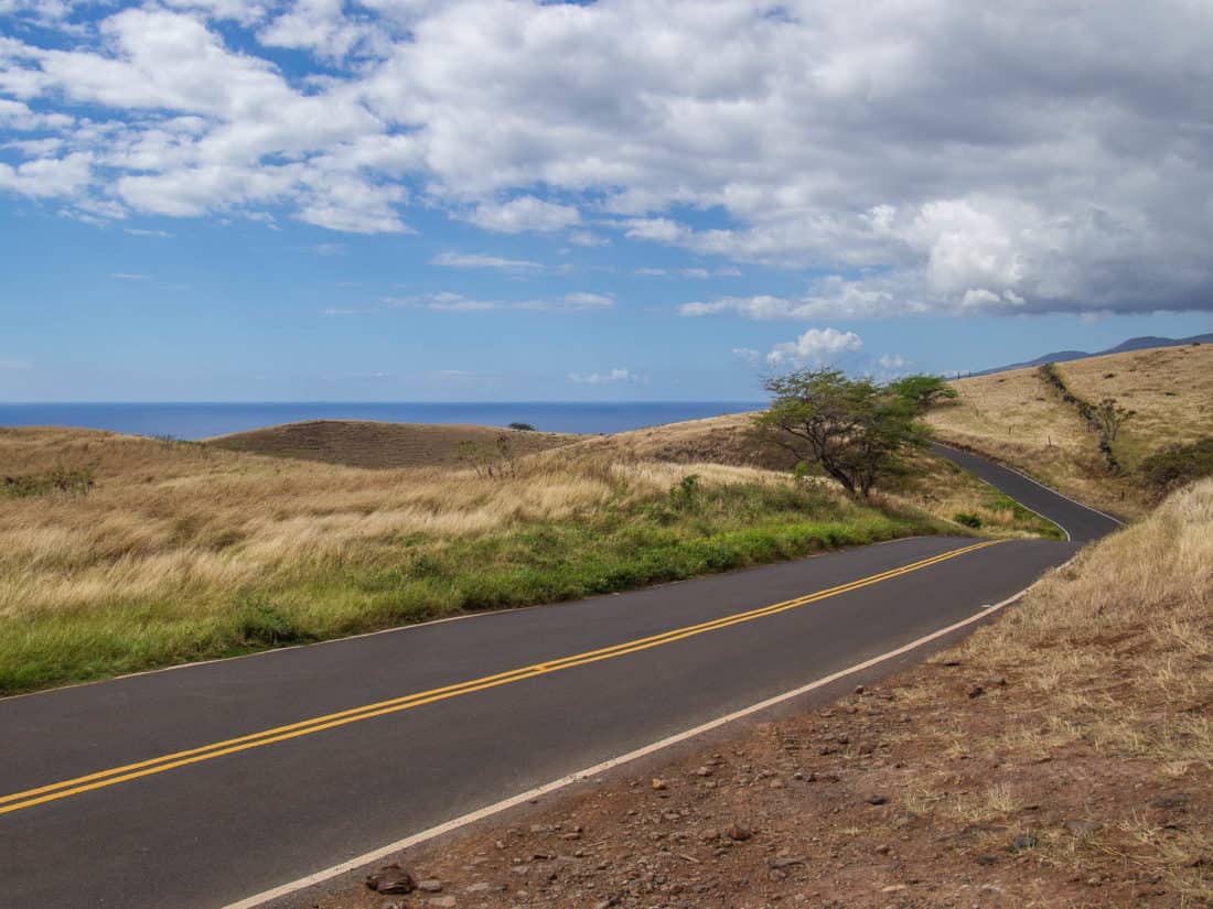 Driving along the coast on the Back Road to Hana in Maui, Hawaii, USA