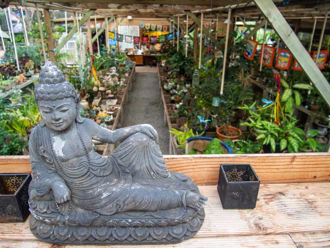 Secret Garden of Maliko plant nursery in Maui Upcountry, Hawaii, USA
