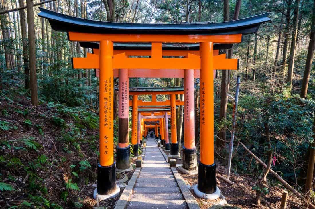 The upper section of Fushimi Inari shrine in Kyoto through the forest