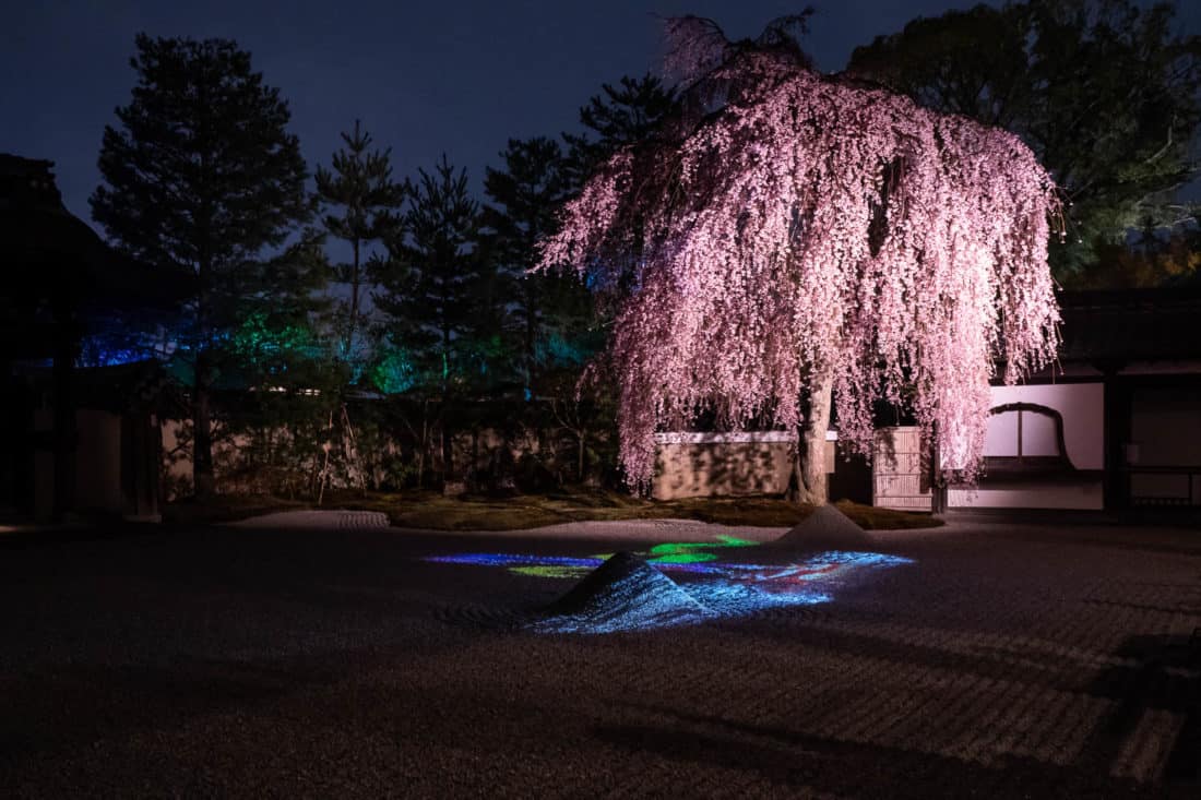 The rock garden at Kodaiji during the night illuminations in April