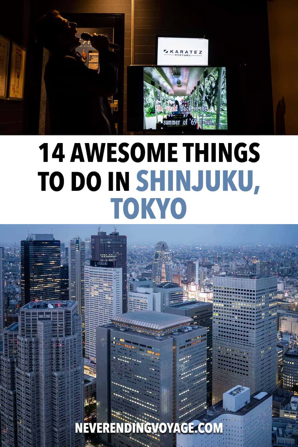 14 Best Things To Do In Shinjuku, Tokyo