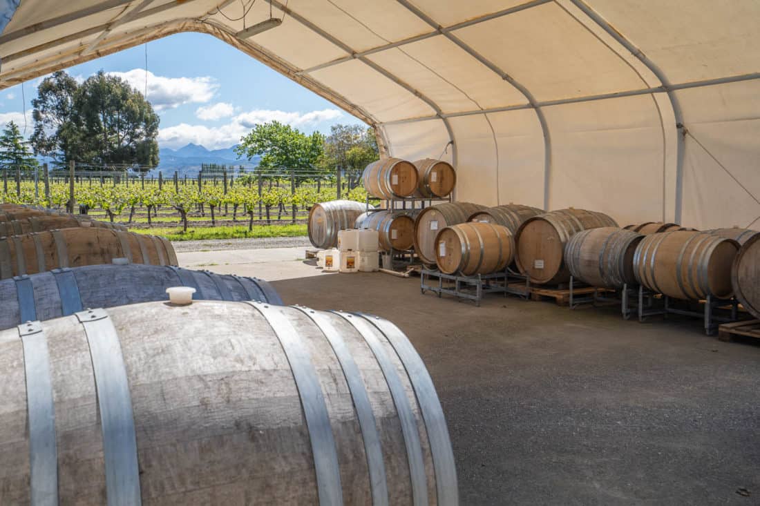 10 Tips For Visiting The Marlborough Wineries In New Zealand