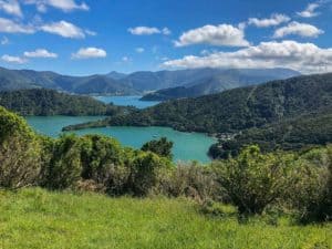 A Detailed Guide to Walking the Queen Charlotte Track in New Zealand