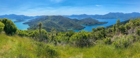 A Detailed Guide to Walking the Queen Charlotte Track in New Zealand