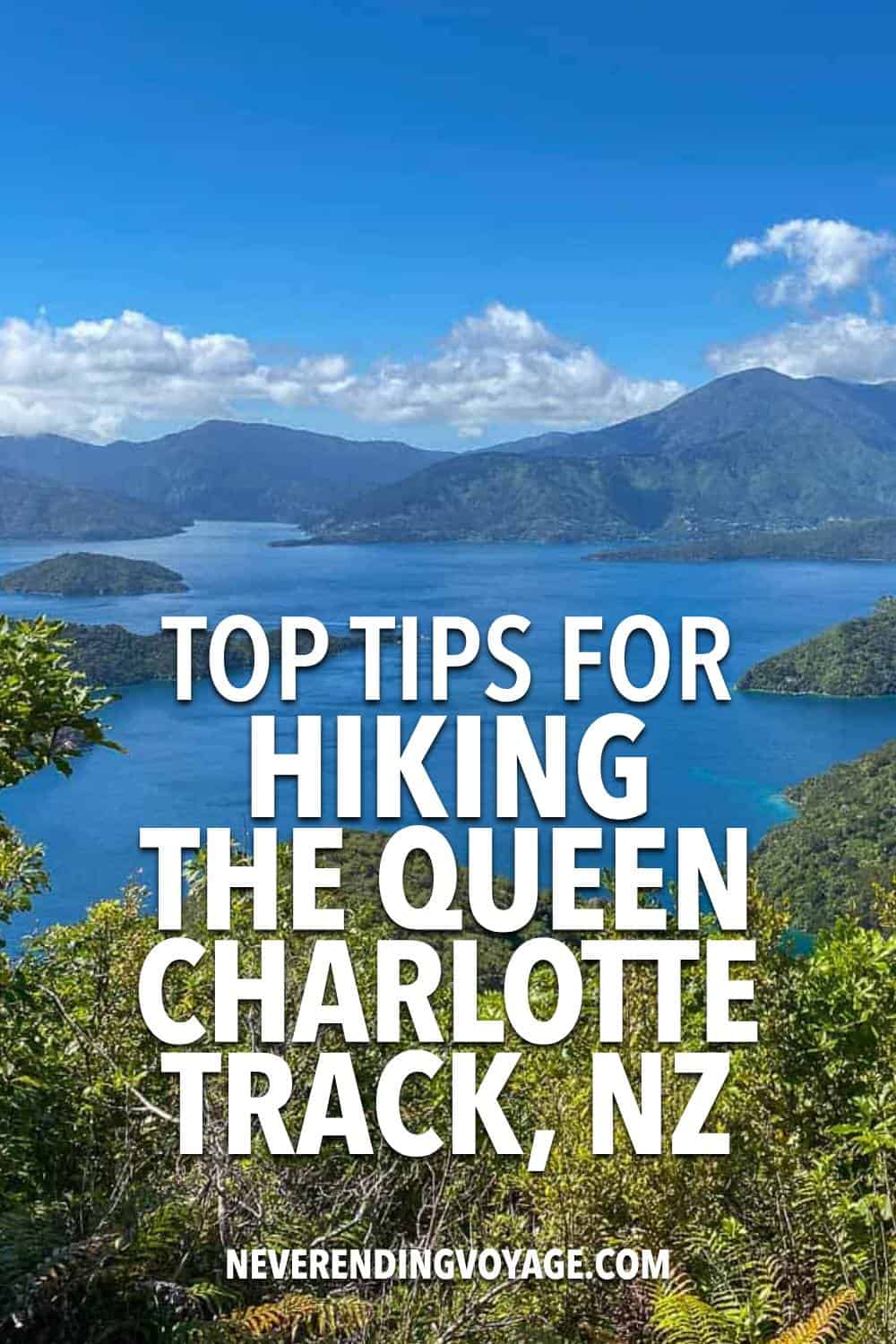 Queen Charlotte Track Guide Pinterest pin