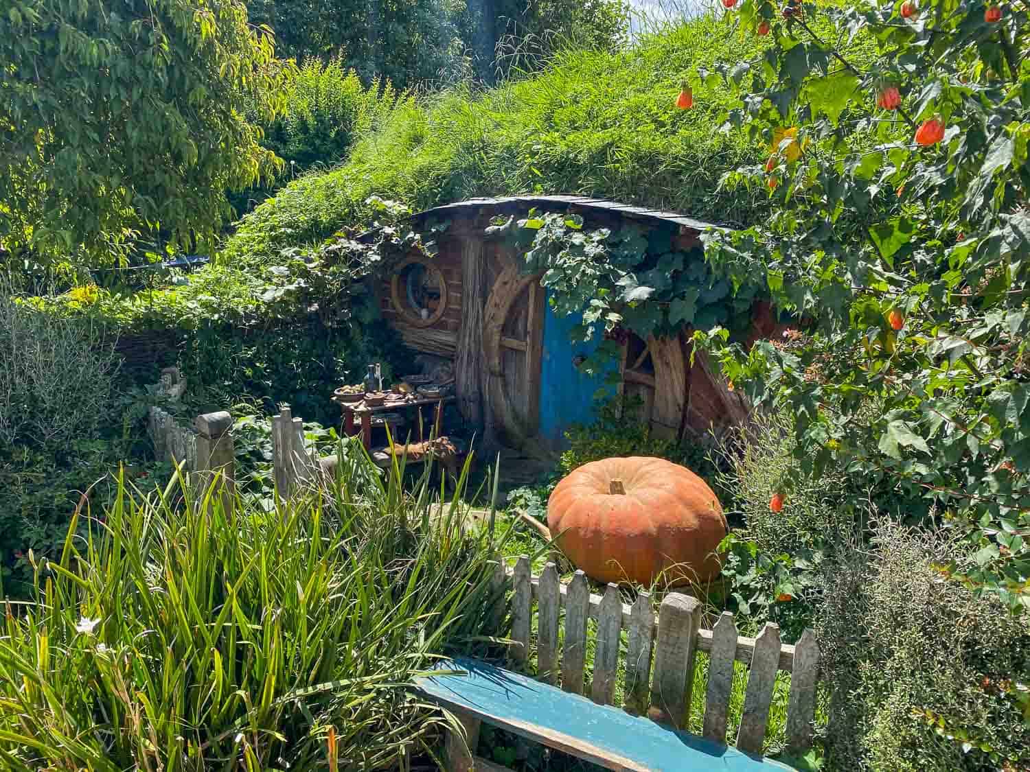 Visiting Magical Hobbiton in The Shire, New Zealand