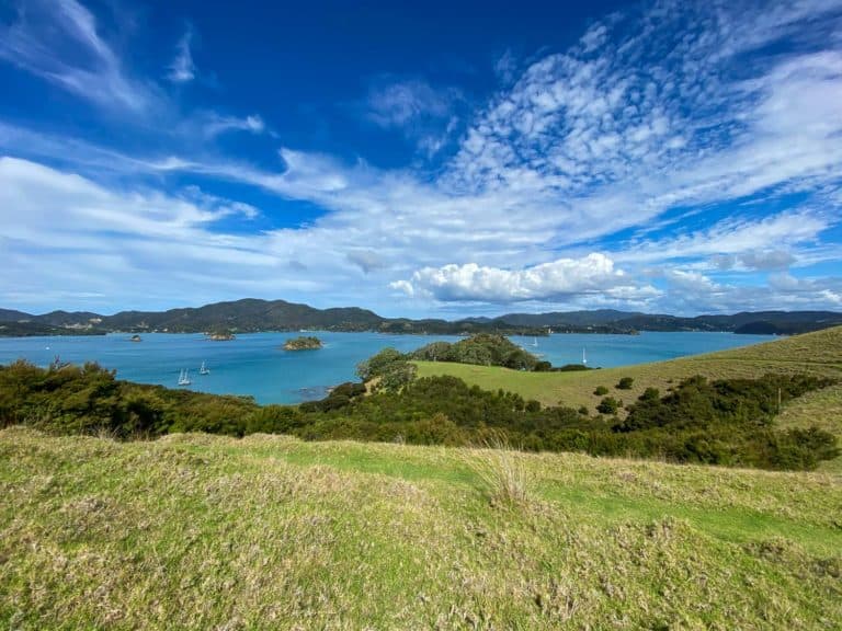 Learning to Sail in the Bay of Islands (While the World Falls Apart)