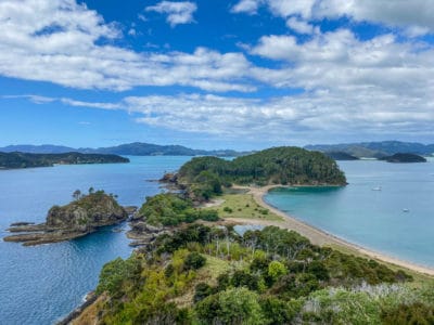 Learning to Sail in the Bay of Islands (While the World Falls Apart)