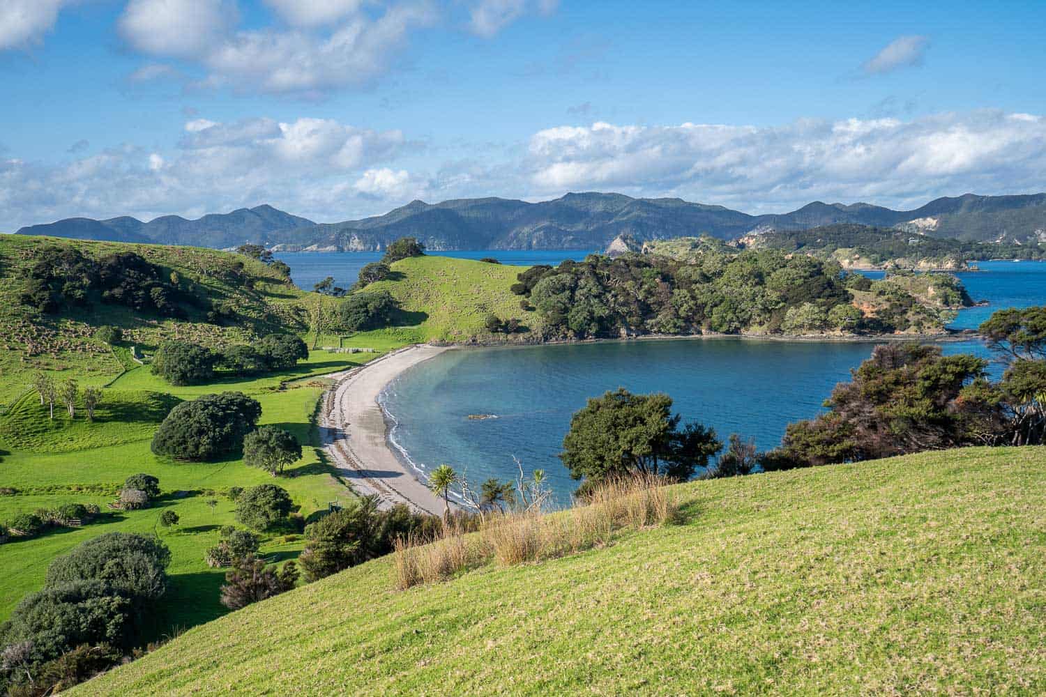 Exploring Beautiful Urupukapuka Island in the Bay of Islands