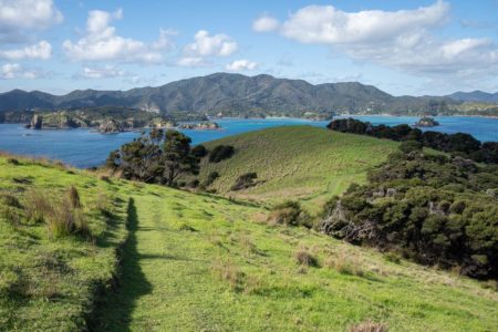 How to Visit Urupukapuka Island in Bay of Islands