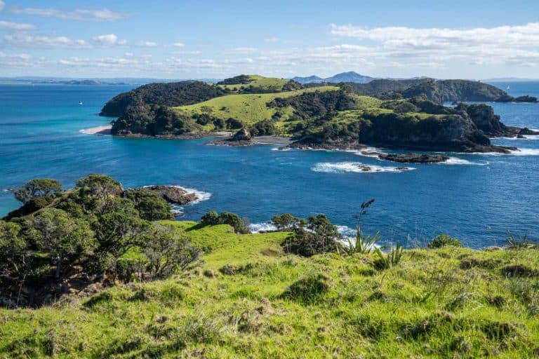 How to Visit Urupukapuka Island in Bay of Islands