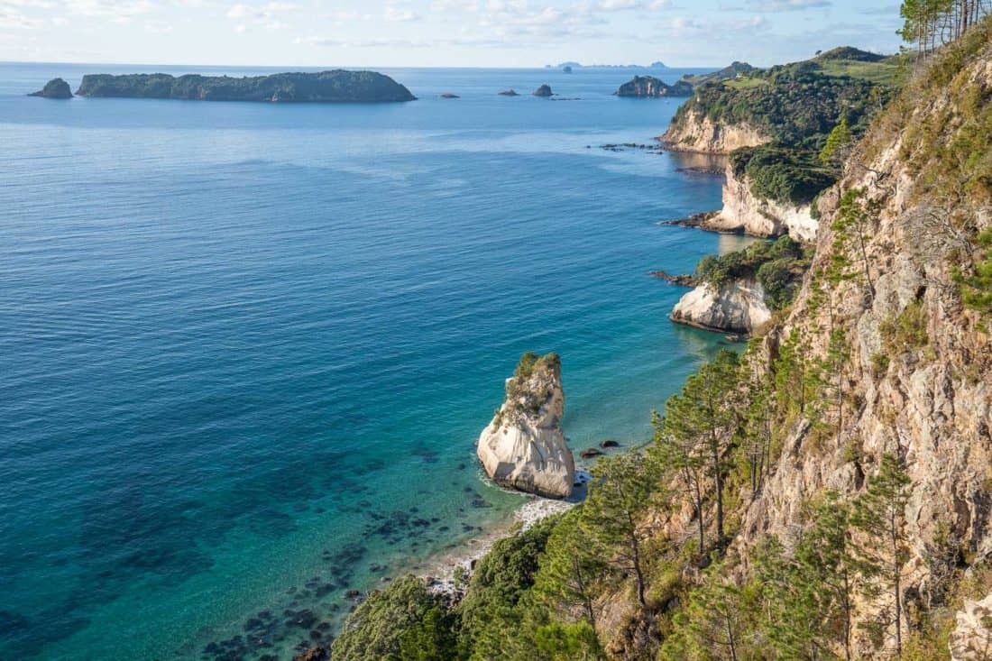 Coast view from the Cathedral Cove Lookout trail in New Zealand's Coromandel Peninsula