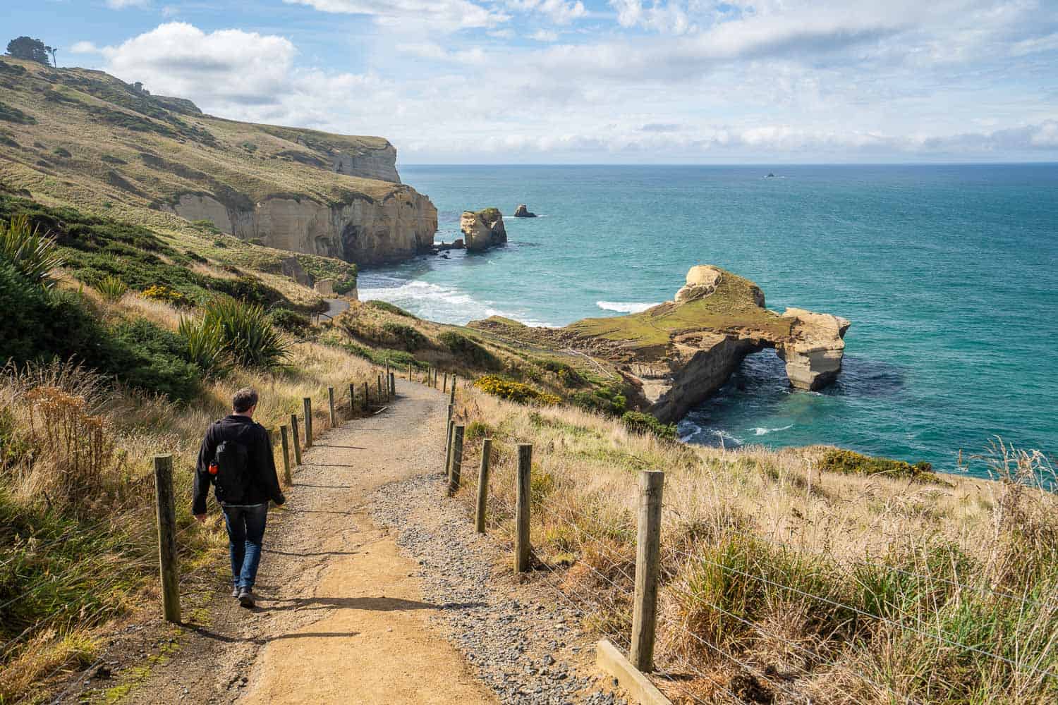 12 Best Road Trip Stops on the East Coast of the South Island, New Zealand