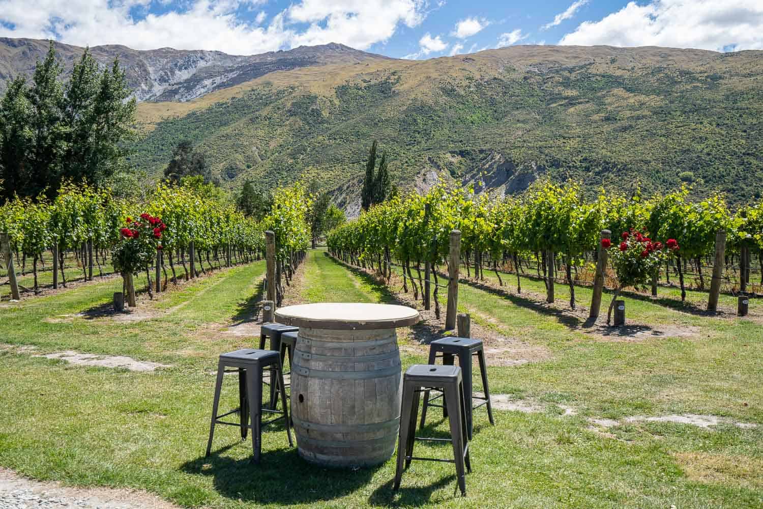 Gibbston Valley Wineries The Ultimate Guide To Wine Tasting Near