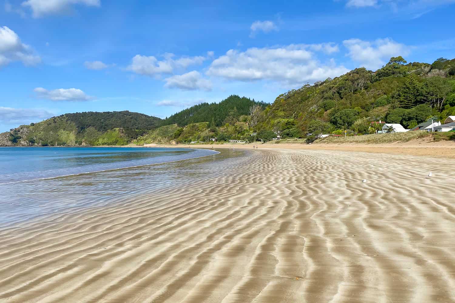 15 Unforgettable Things To Do In Bay Of Islands, New Zealand | LaptrinhX