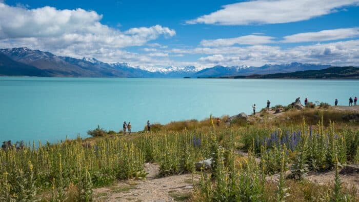 25 Most Beautiful Places in New Zealand Not to Miss