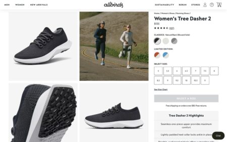 Allbirds Tree Dashers Review After 2 Years of Running (V2 Update)
