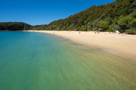 The Ultimate Guide to Visiting Abel Tasman National Park