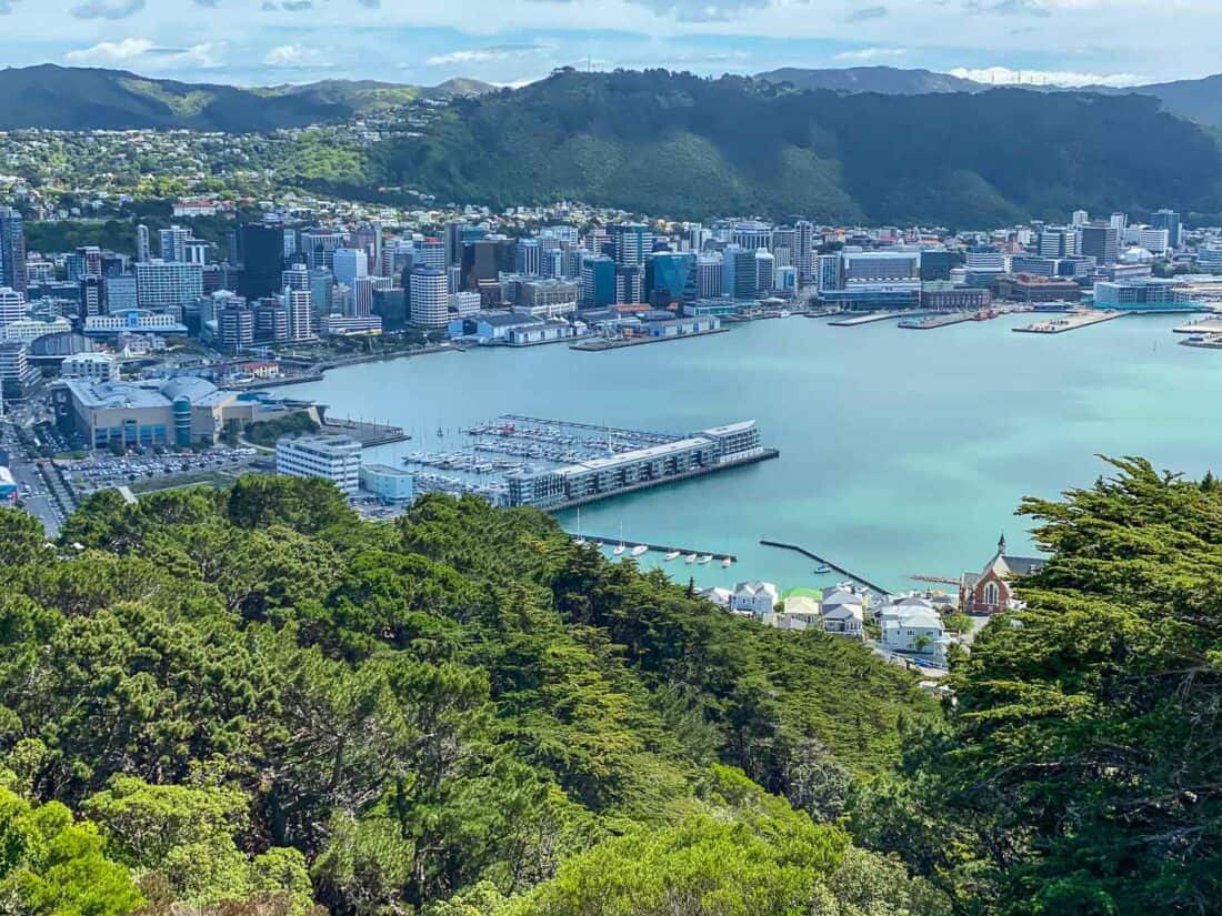The view of Wellington from Mt Victoria, North Island, New Zealand