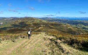 8 Stunning Wellington Walks Not to Miss