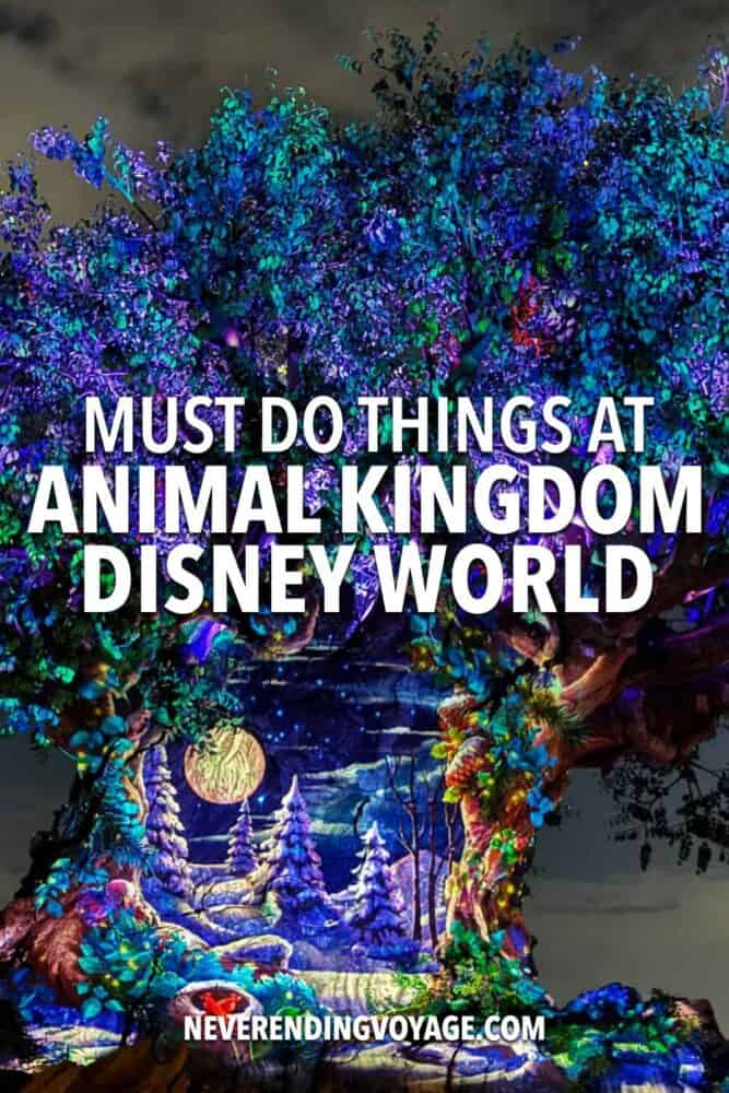 Animal Kingdom Orlando Guide Pinterest pin