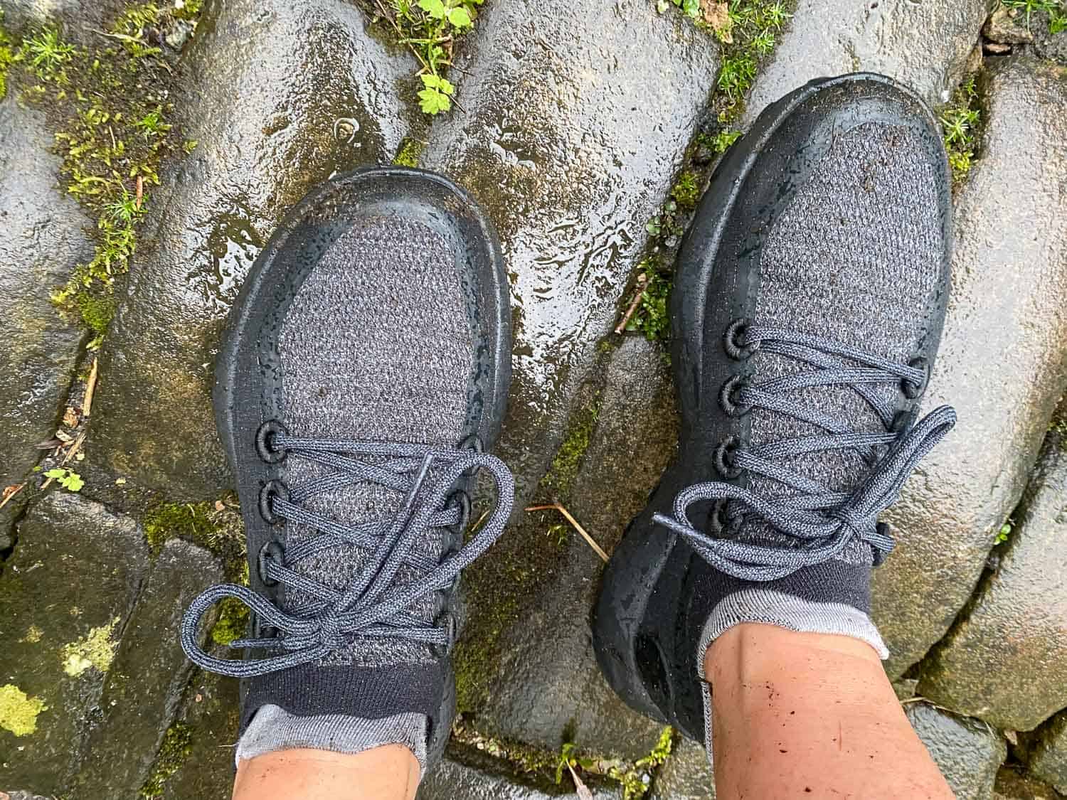 Allbirds Trail Runners Review: An Honest Look