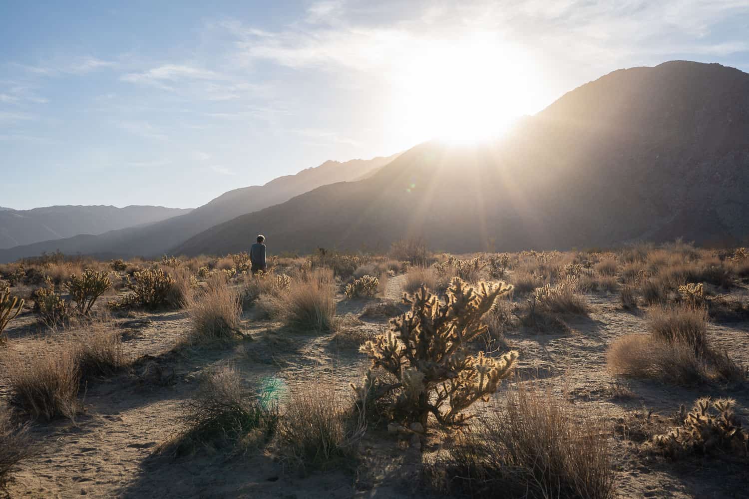 Borrego Springs Sculptures: The Ultimate Guide To Galleta Meadows