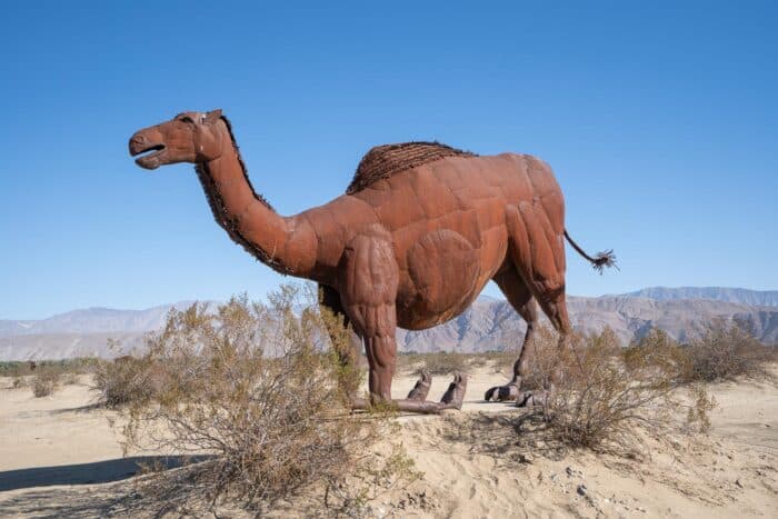 Borrego Springs Sculptures: The Ultimate Guide to Galleta Meadows