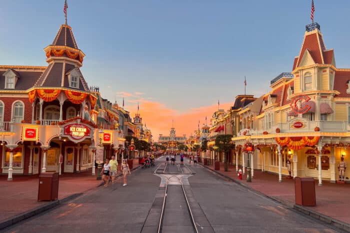 20 Must Do Rides At Magic Kingdom Orlando (2024)