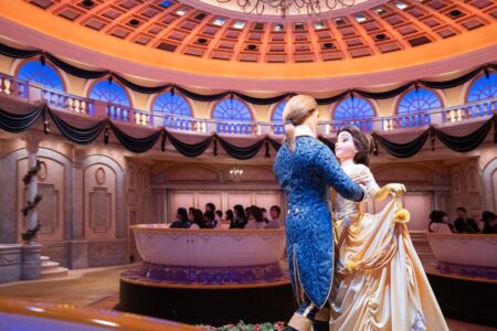 14 Best Tokyo Disneyland Rides For Adults