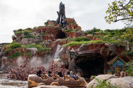 14 Best Tokyo Disneyland Rides For Adults