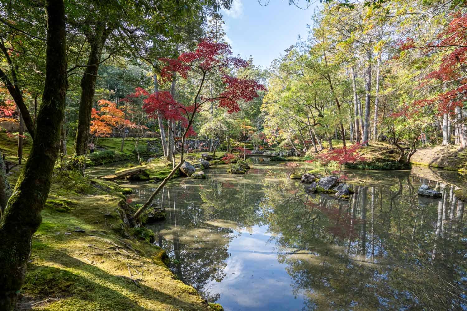 Pond in Moss Temple garden, Kyoto, Japan