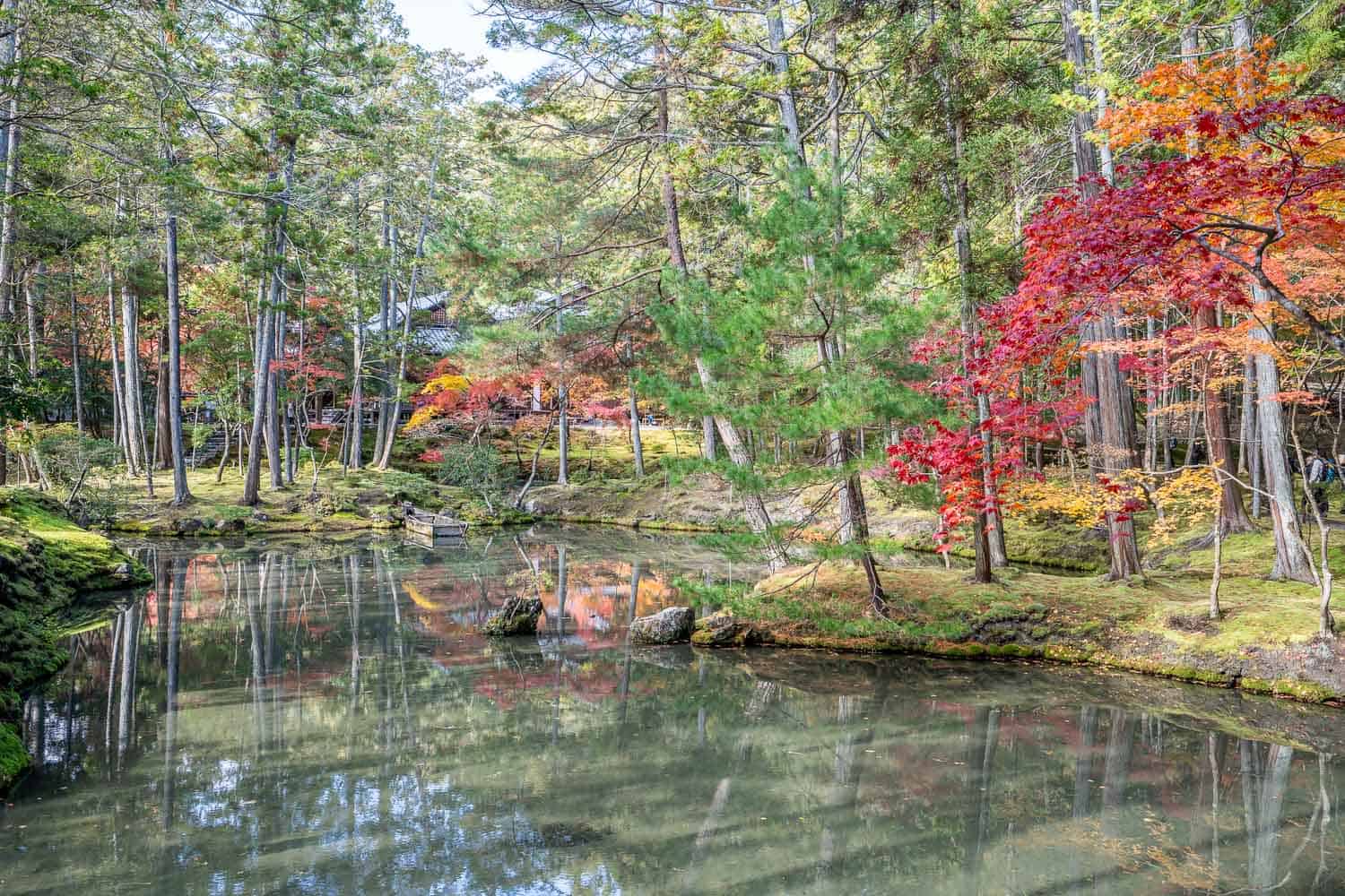 The golden pond at Moss Temple, Kyoto, Japan