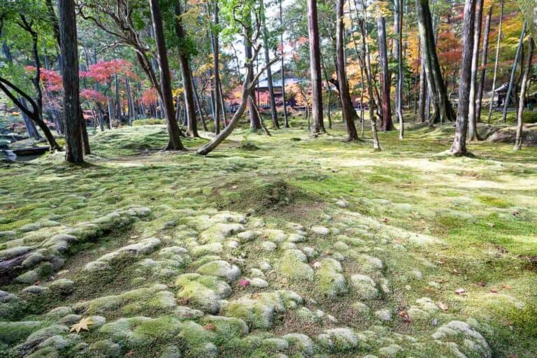 Visiting Saihoji, the Stunning Kyoto Moss Temple