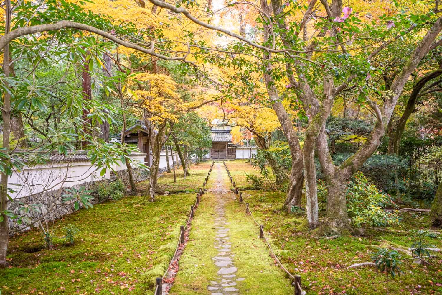 Moss covered grounds of Saihoji Temple, Kyoto, Japan