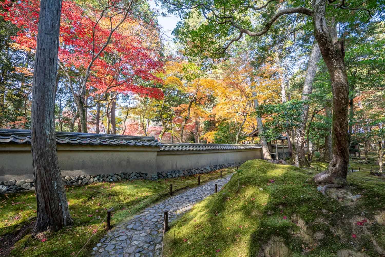 Paved path through the Saihoji Moss Temple garden, Kyoto, Japan