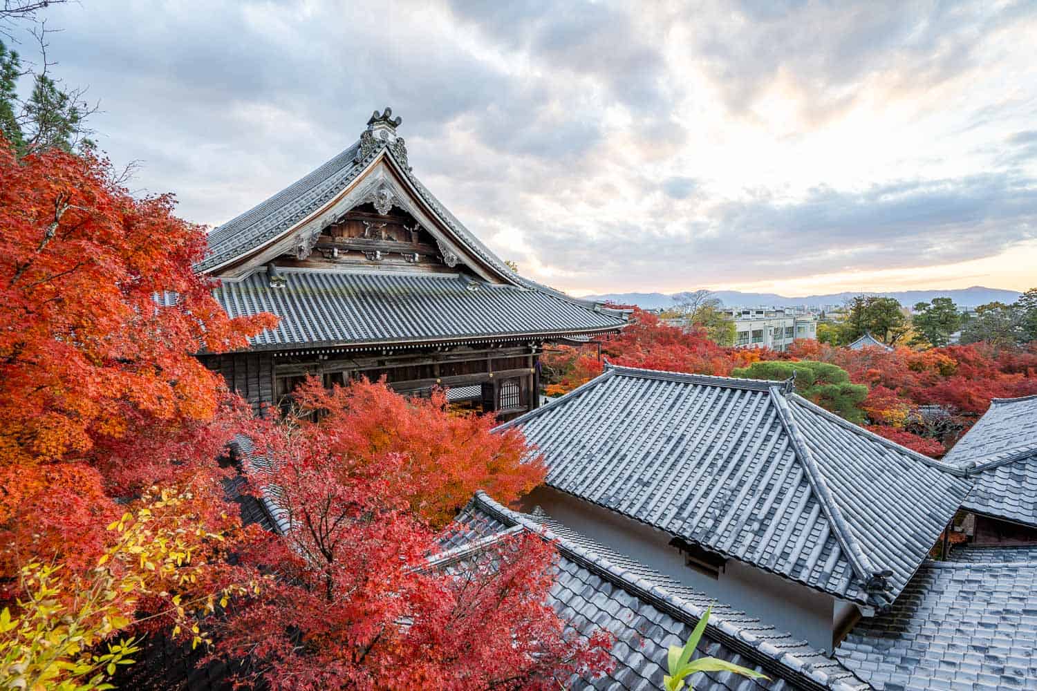 View of Eikando temple rooftops and maples in autumn, Kyoto, Japan