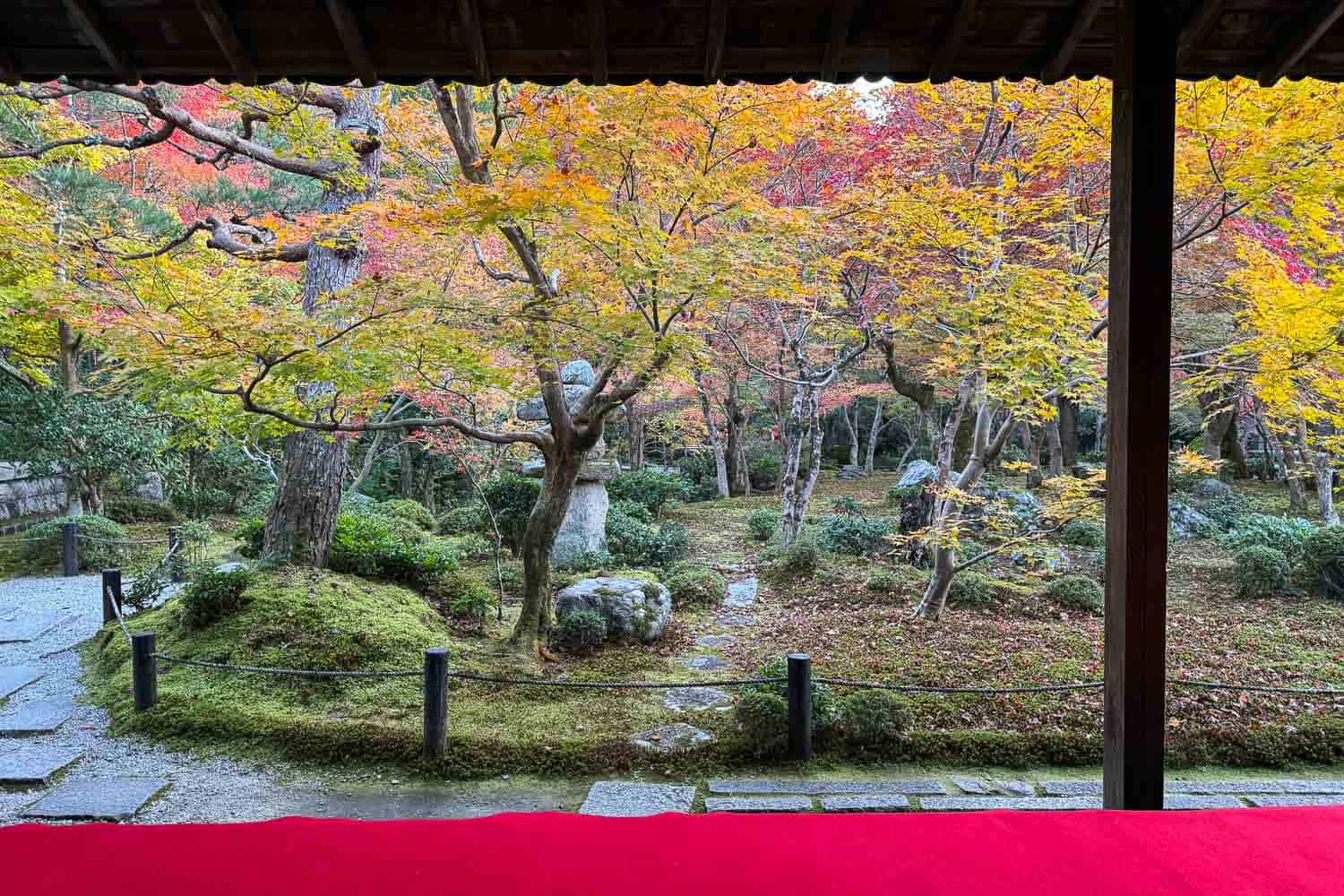 View of Enkoji grounds from the tatami room in autumn, Kyoto, Japan